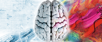 Branding With Both Sides of the Brain Optimizes Your Brand’s Performance
