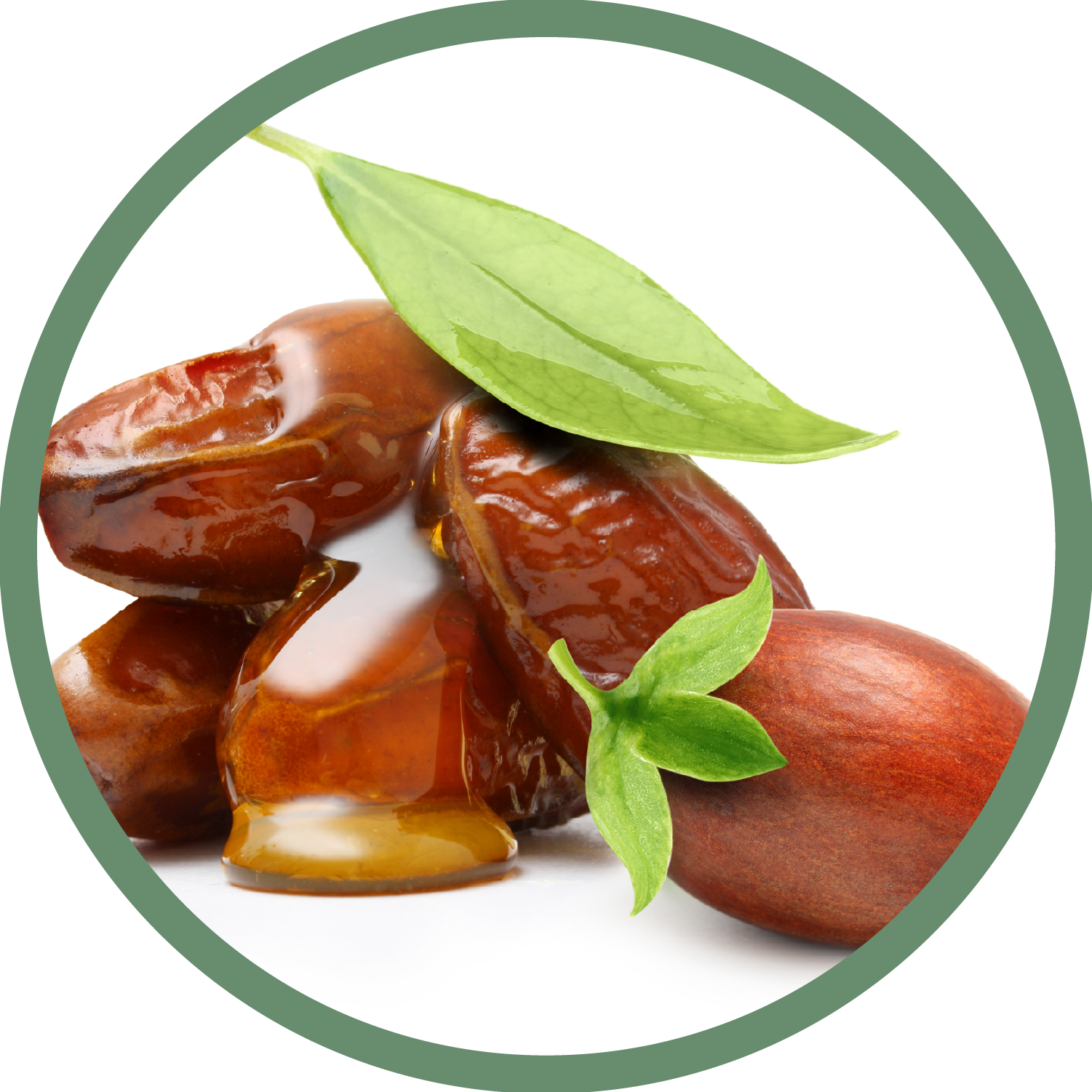 jojoba